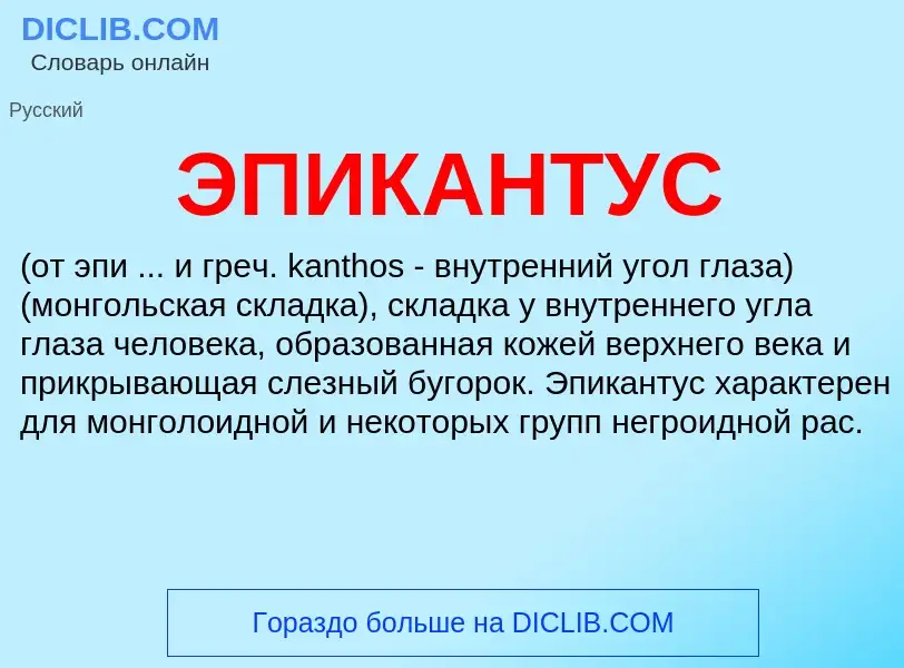 Wat is ЭПИКАНТУС - definition