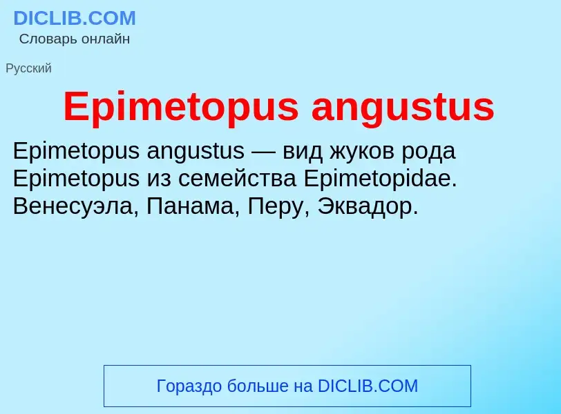 Qu'est-ce que Epimetopus angustus - définition