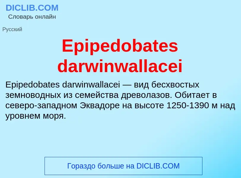 Что такое Epipedobates darwinwallacei - определение