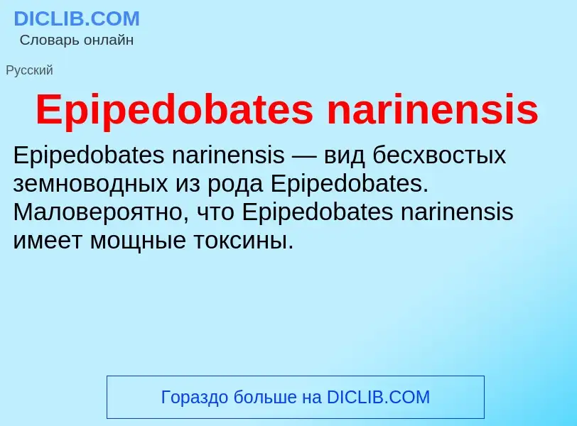 Что такое Epipedobates narinensis - определение