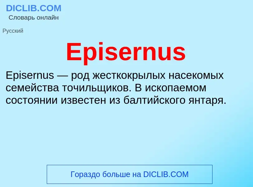 Что такое Episernus - определение