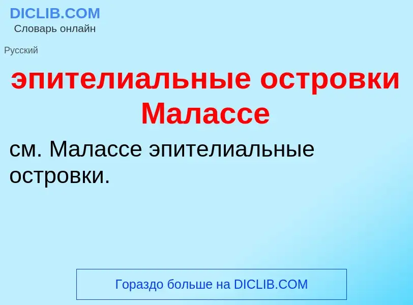 Τι είναι эпителиальные островки Малассе - ορισμός