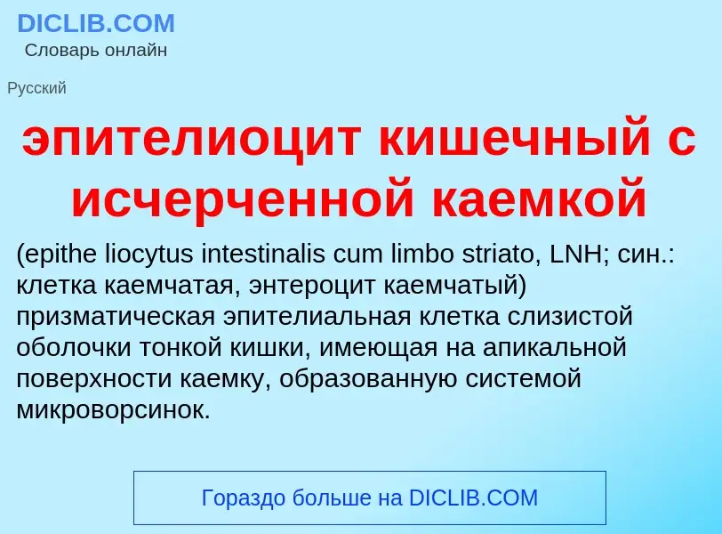 Τι είναι эпителиоцит кишечный с исчерченной каемкой  - ορισμός