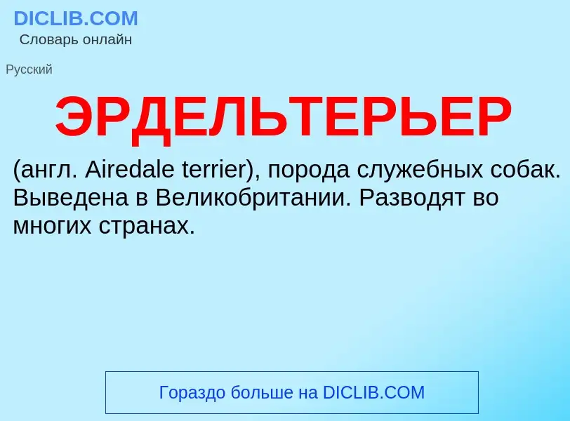 What is ЭРДЕЛЬТЕРЬЕР - definition