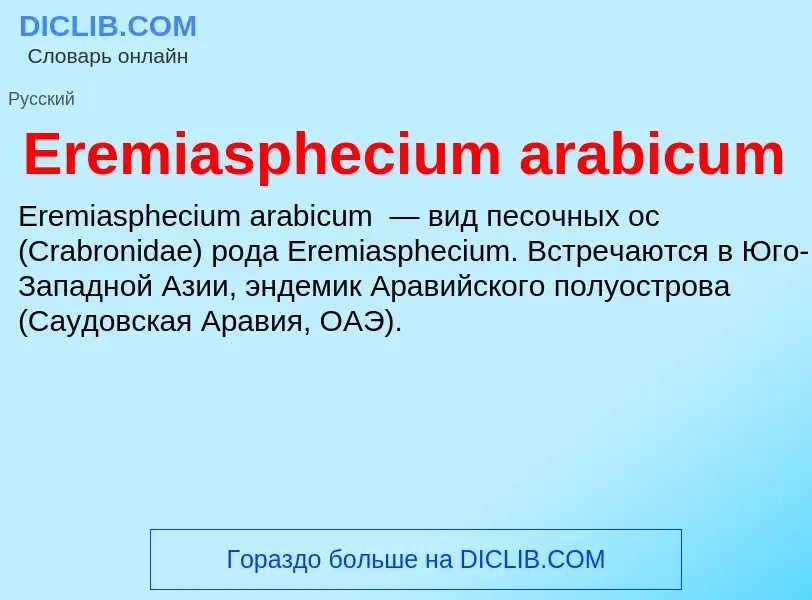 Qu'est-ce que Eremiasphecium arabicum - définition