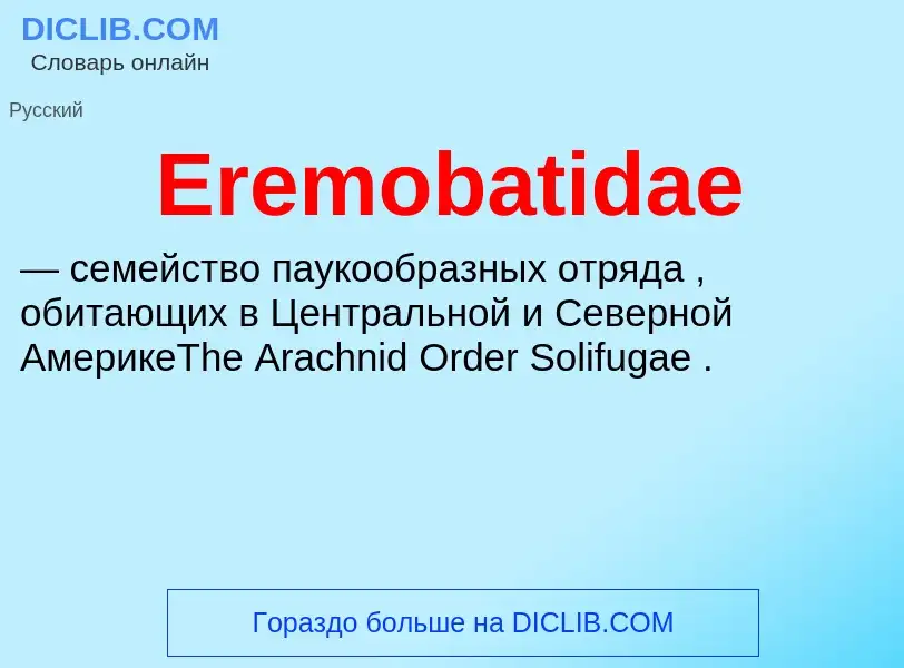 Что такое Eremobatidae - определение