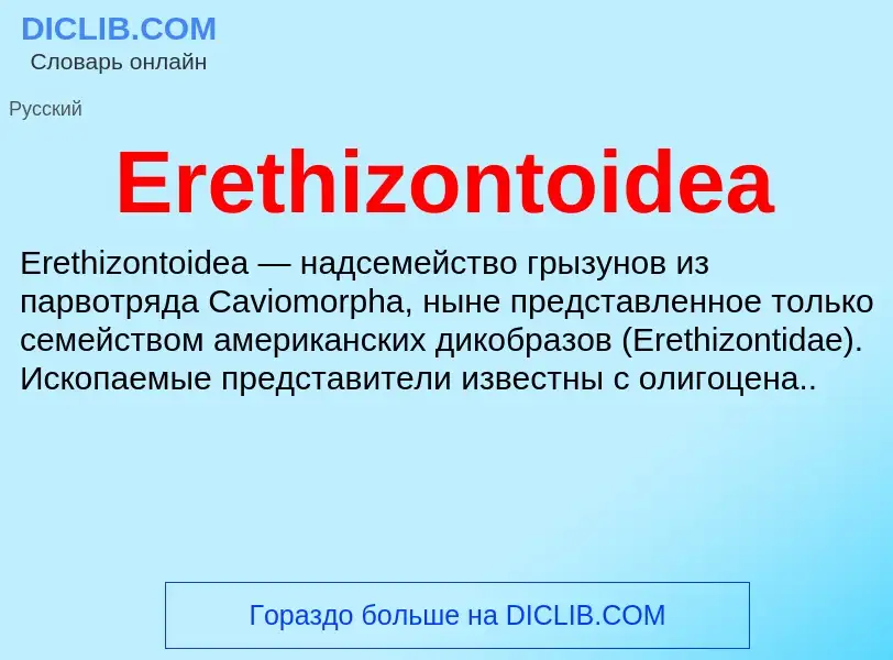 Что такое Erethizontoidea - определение