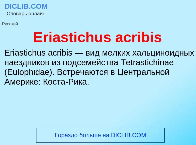 Что такое Eriastichus acribis - определение