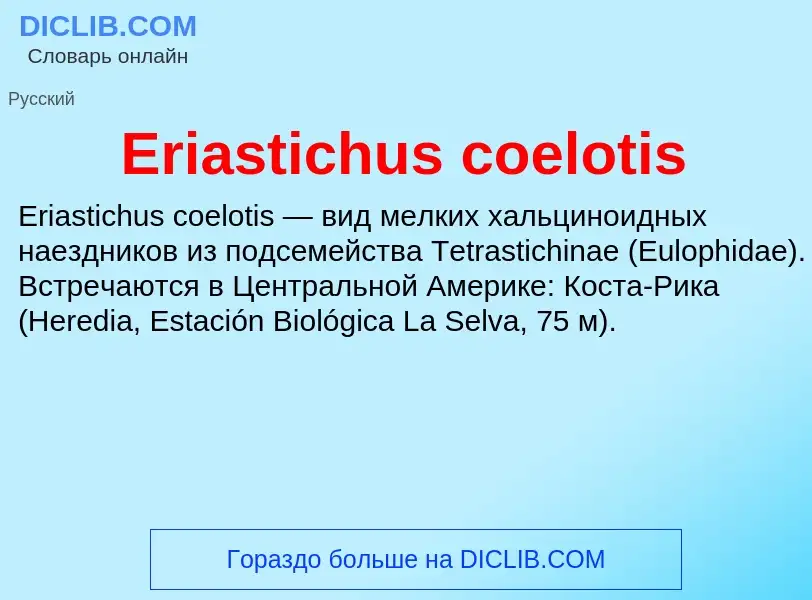 Что такое Eriastichus coelotis - определение