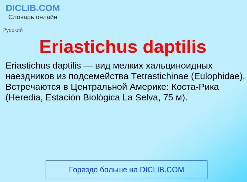 Что такое Eriastichus daptilis - определение