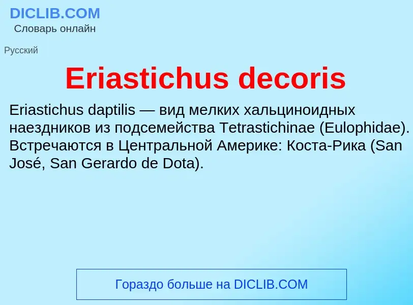 Что такое Eriastichus decoris - определение