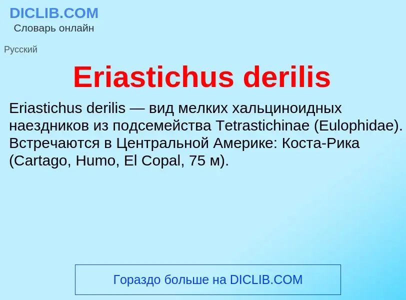 Что такое Eriastichus derilis - определение