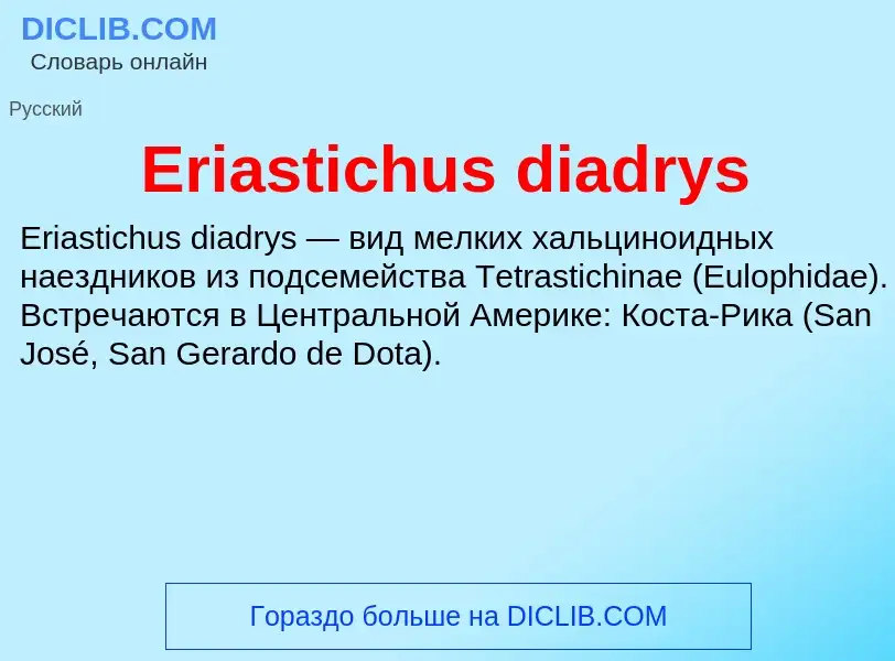 Что такое Eriastichus diadrys - определение