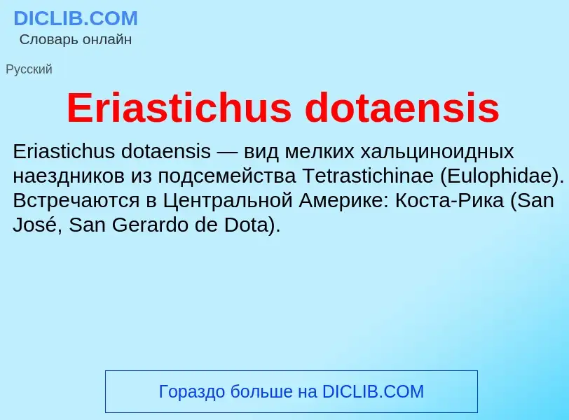 Что такое Eriastichus dotaensis - определение