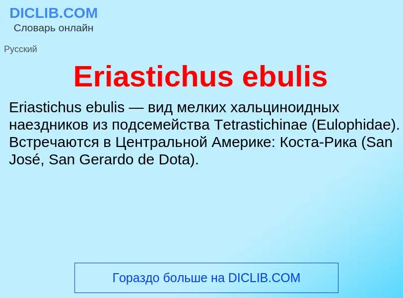 Что такое Eriastichus ebulis - определение