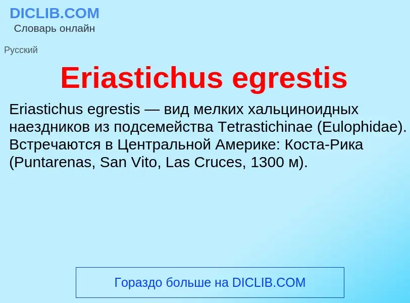 Что такое Eriastichus egrestis - определение