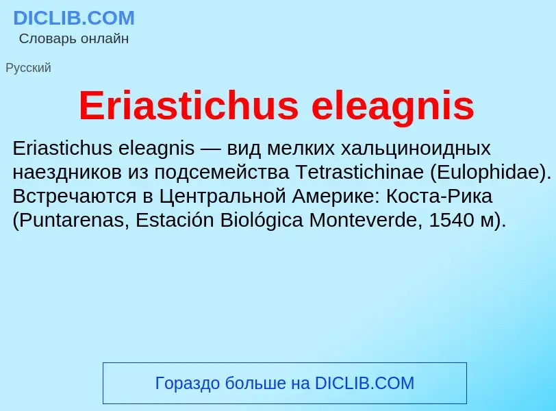 Что такое Eriastichus eleagnis - определение