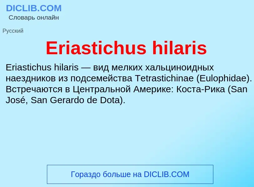 Что такое Eriastichus hilaris - определение