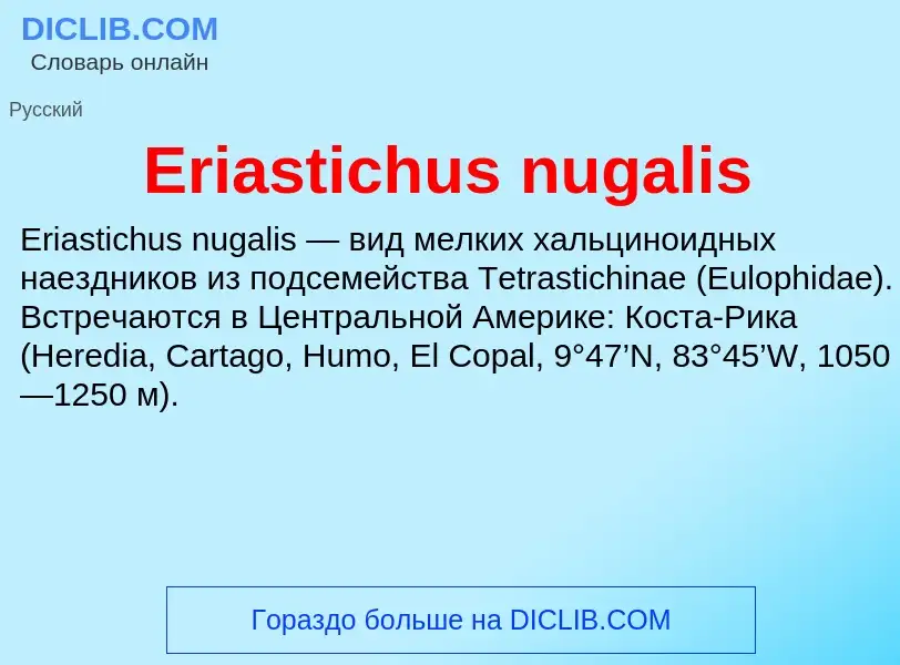 Что такое Eriastichus nugalis - определение