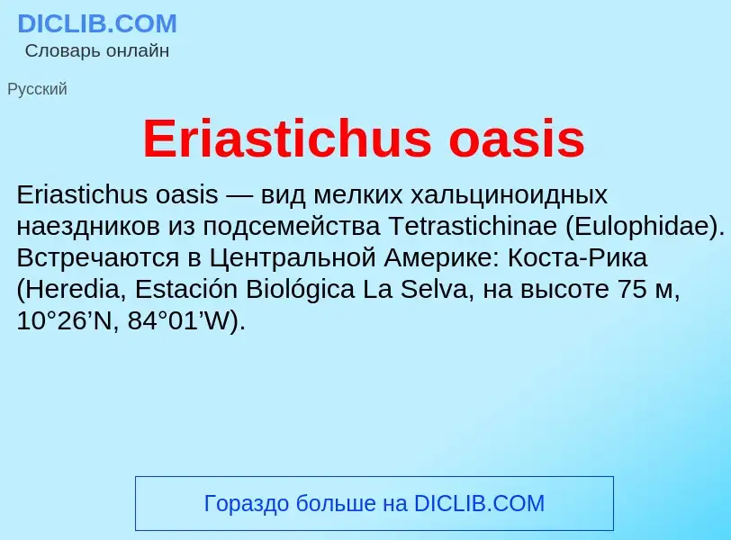 Что такое Eriastichus oasis - определение