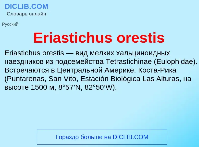 Что такое Eriastichus orestis - определение