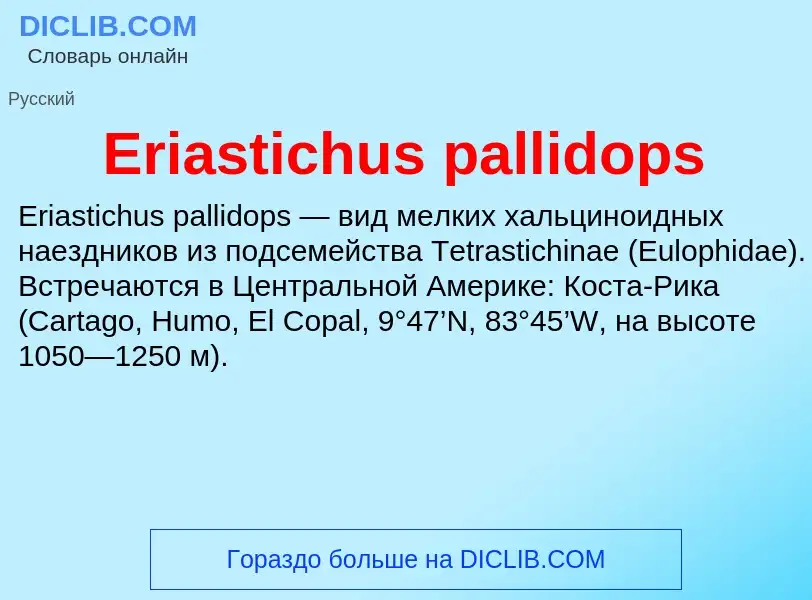 Что такое Eriastichus pallidops - определение