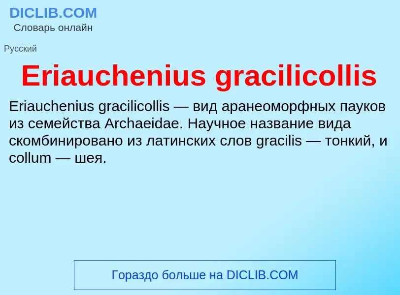 Что такое Eriauchenius gracilicollis - определение