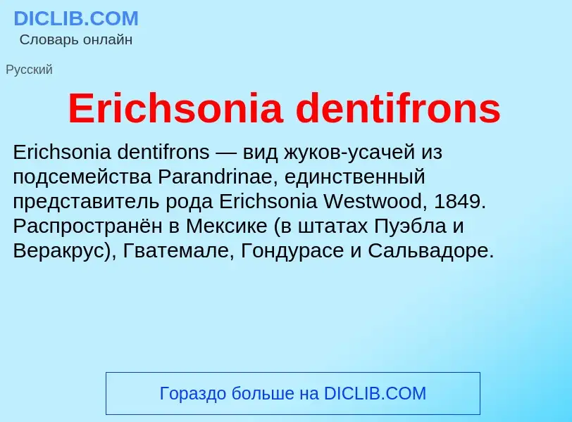 Что такое Erichsonia dentifrons - определение