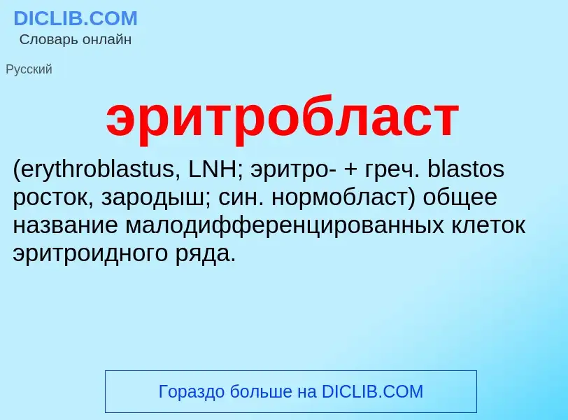 ¿Qué es эритробласт ? - significado y definición