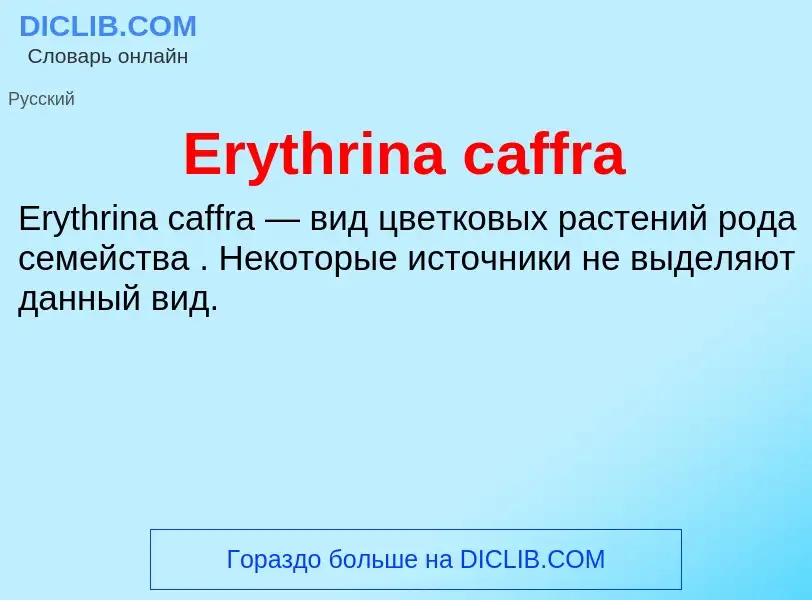 Что такое Erythrina caffra - определение