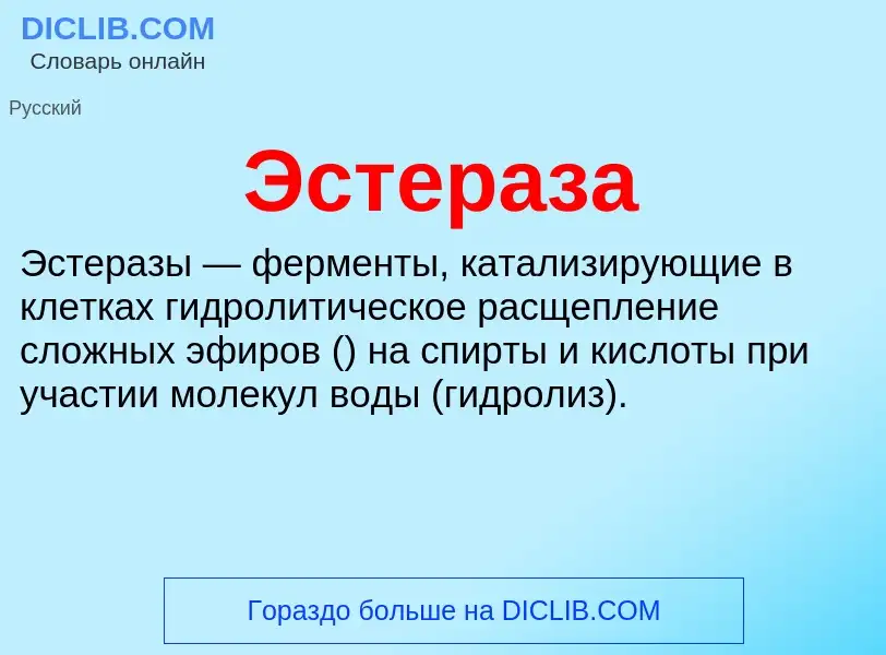 ¿Qué es Эстераза? - significado y definición