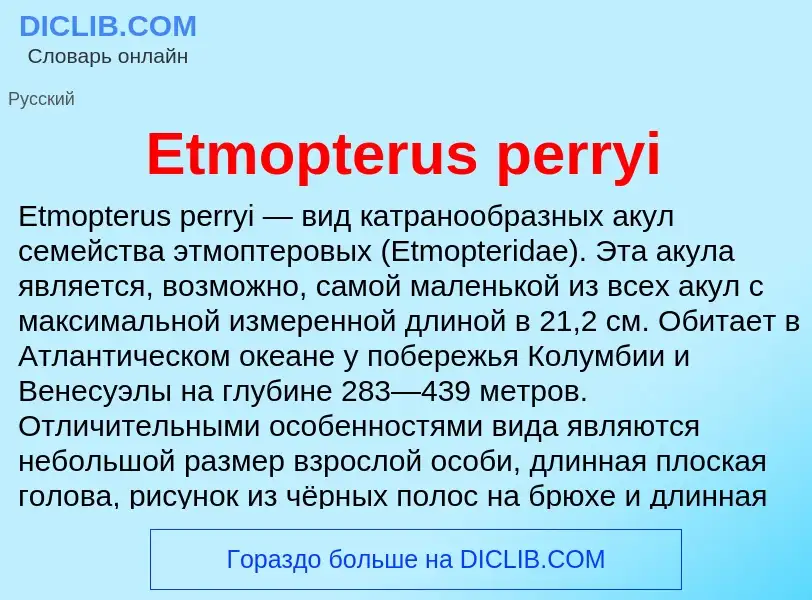 Wat is Etmopterus perryi - definition