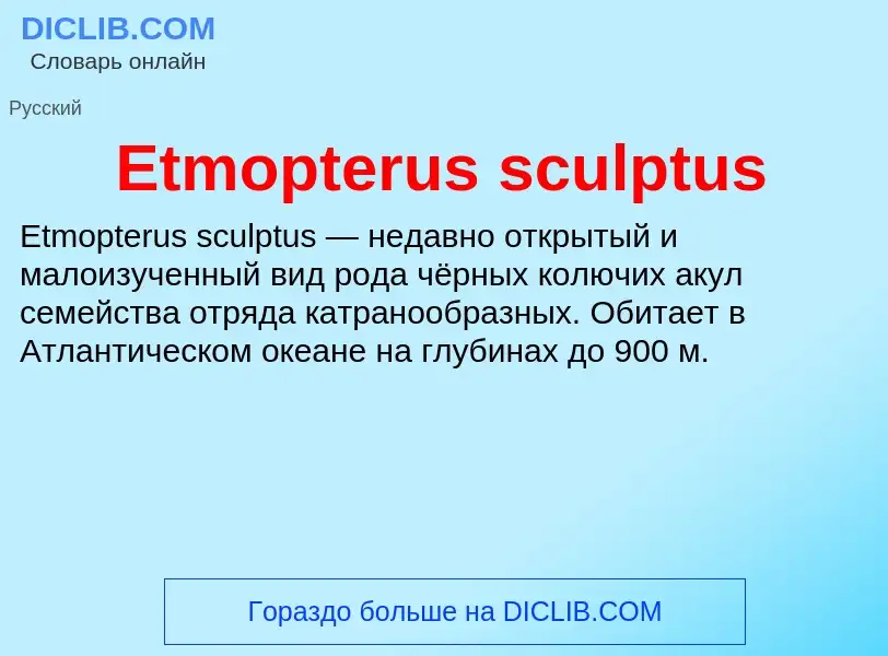 Что такое Etmopterus sculptus - определение