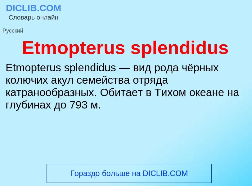 Что такое Etmopterus splendidus - определение