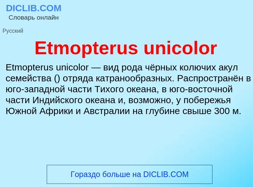 Что такое Etmopterus unicolor - определение