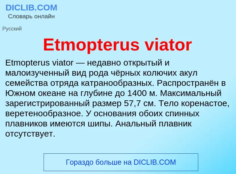 Что такое Etmopterus viator - определение