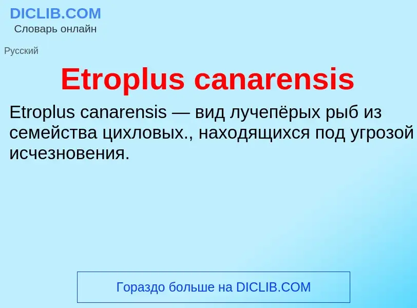 Что такое Etroplus canarensis - определение