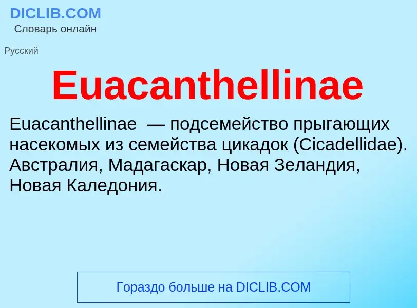 Что такое Euacanthellinae - определение