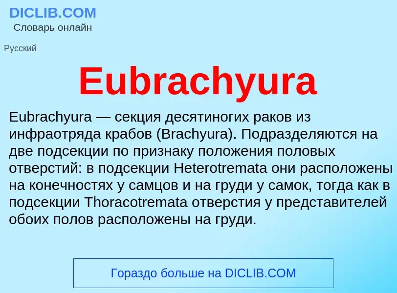 Что такое Eubrachyura - определение