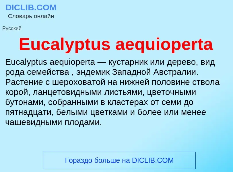 Что такое Eucalyptus aequioperta - определение