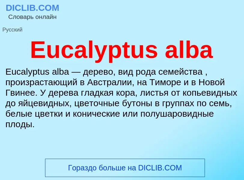 Что такое Eucalyptus alba - определение