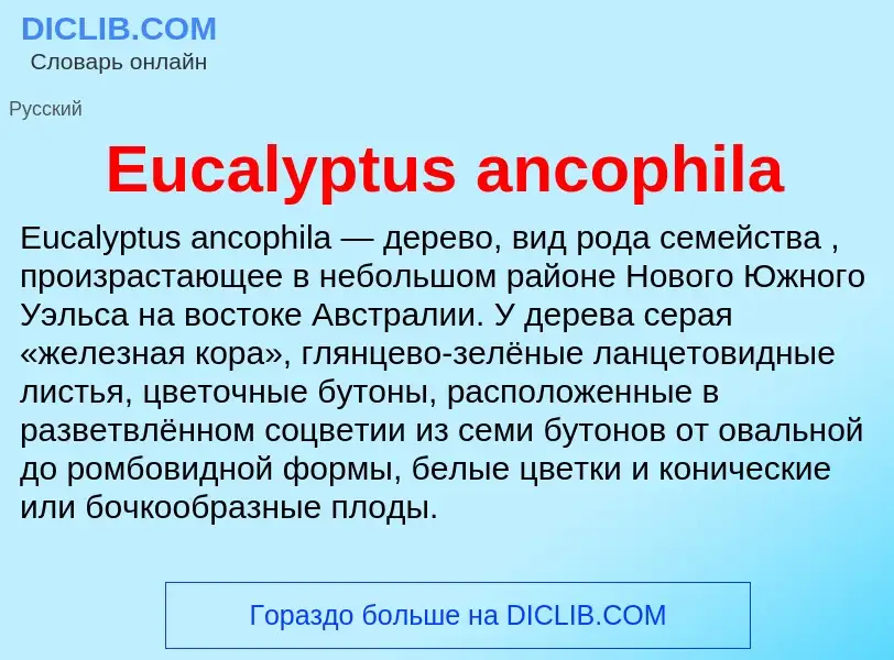 Что такое Eucalyptus ancophila - определение