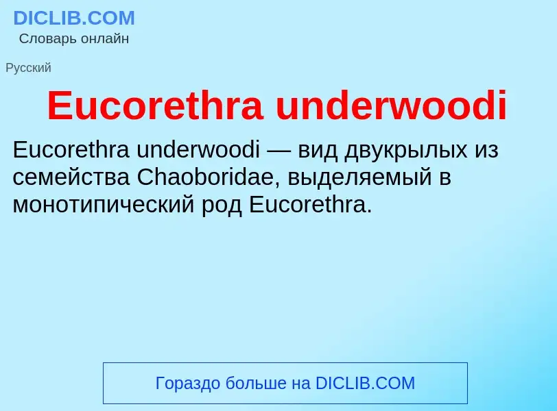 Что такое Eucorethra underwoodi - определение