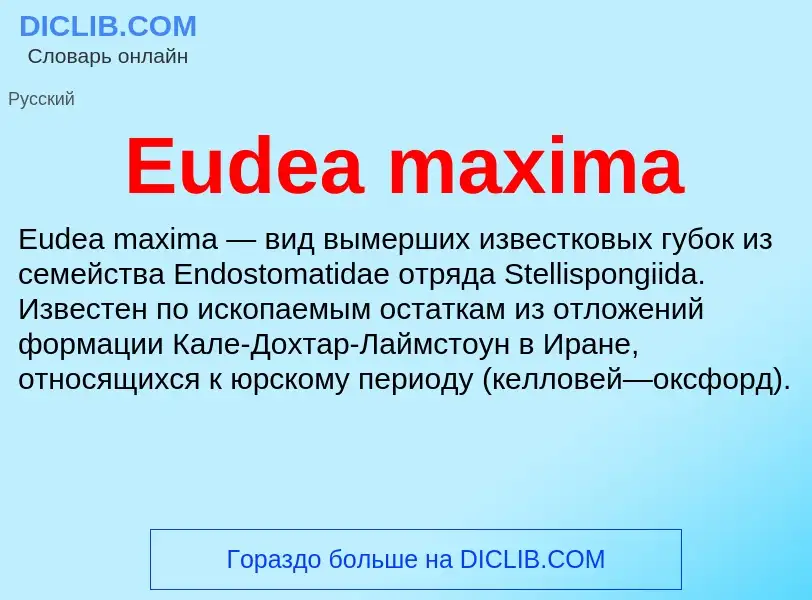 Что такое Eudea maxima - определение