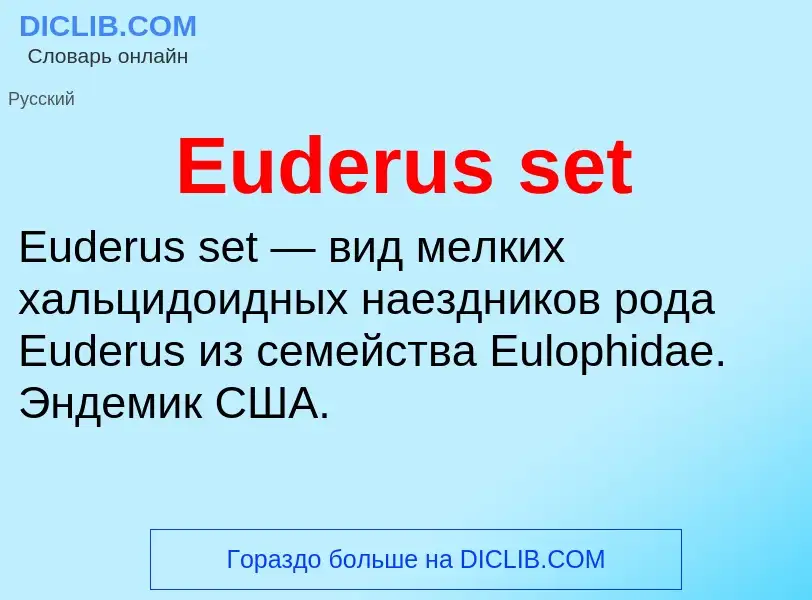 Что такое Euderus set - определение