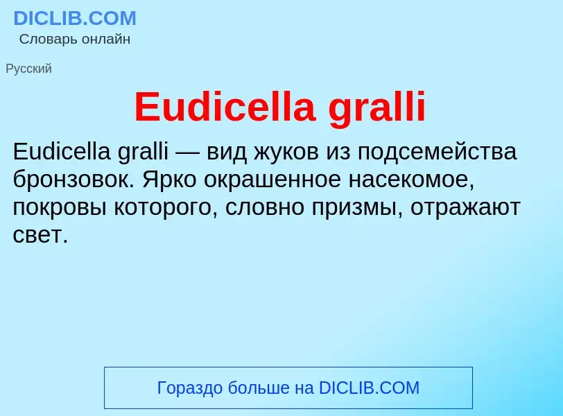 Что такое Eudicella gralli - определение