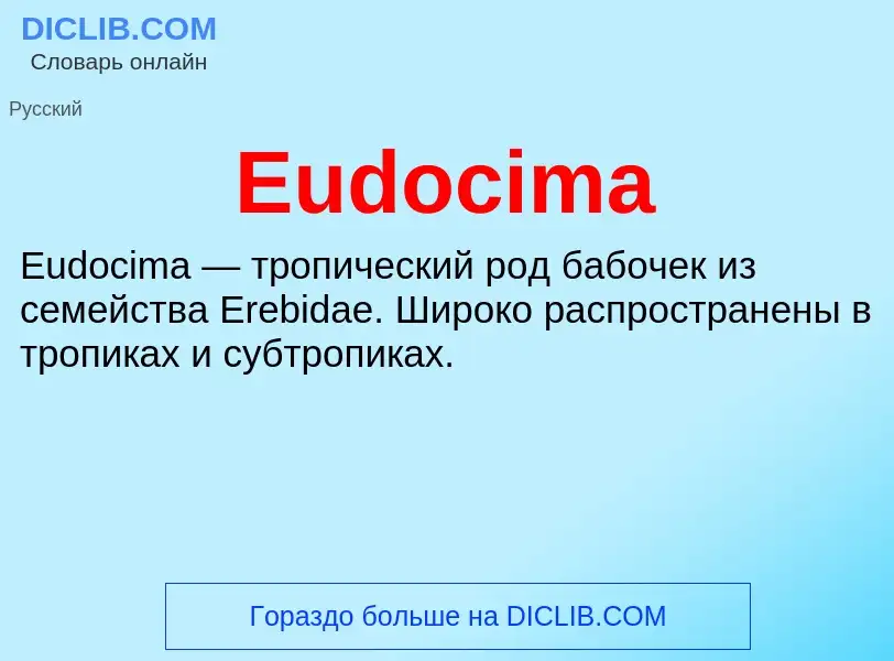 Что такое Eudocima - определение