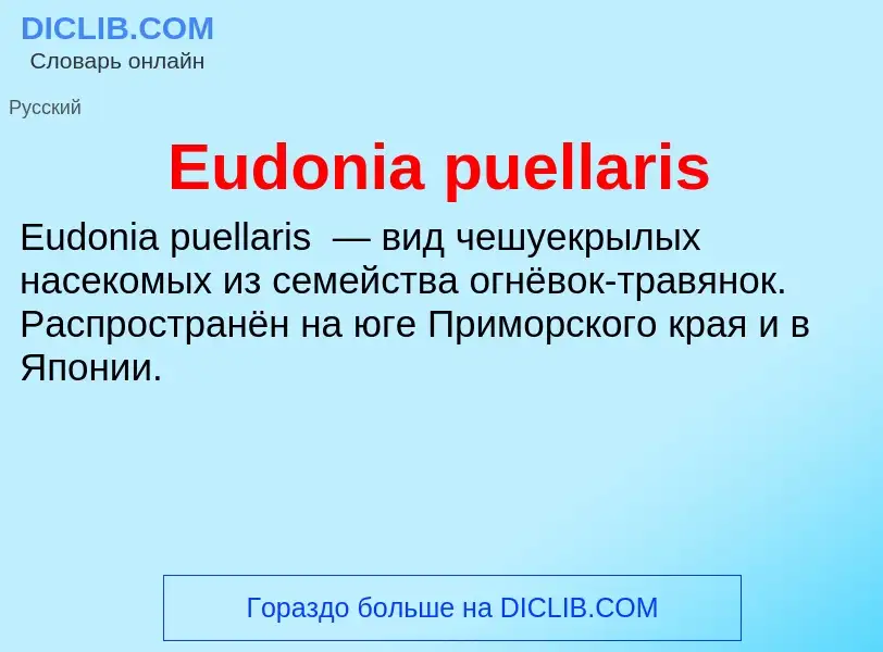 Что такое Eudonia puellaris - определение