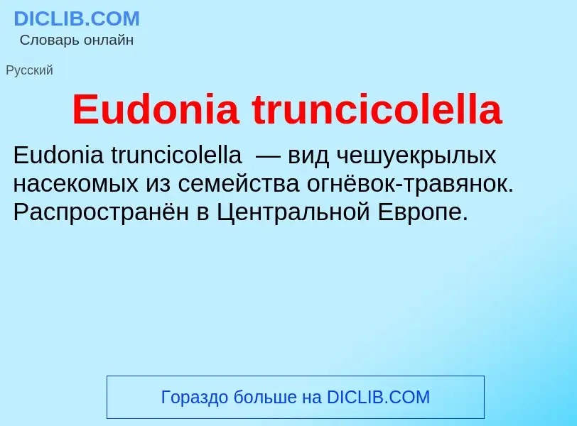 Что такое Eudonia truncicolella - определение