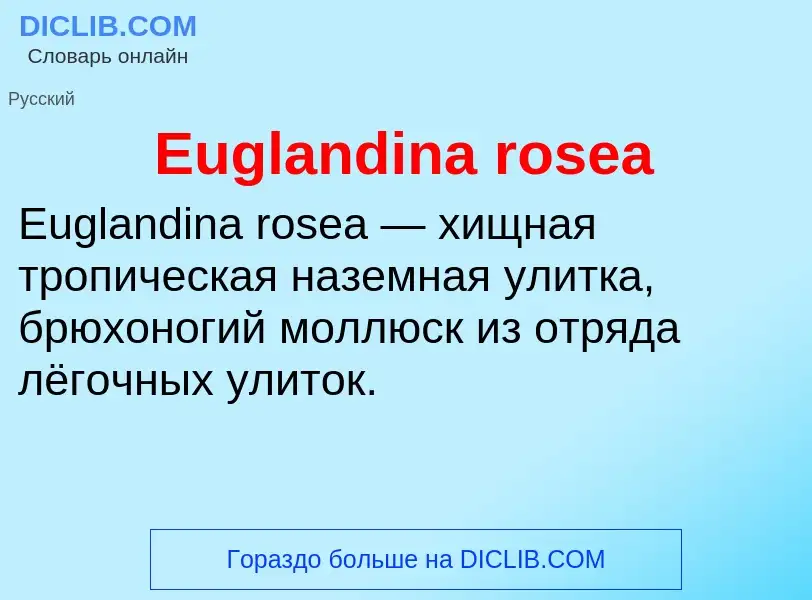 Что такое Euglandina rosea - определение